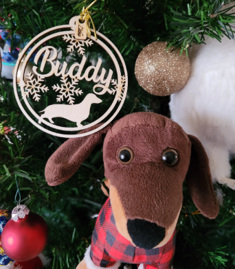 Pet Custom Christmas ornaments, personalize with your names, Dachshund ornament