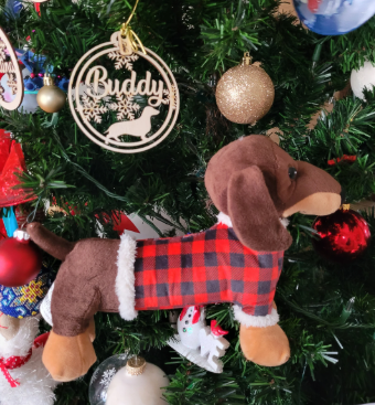 Pet Custom Christmas ornaments, personalize with your names, Dachshund ornament
